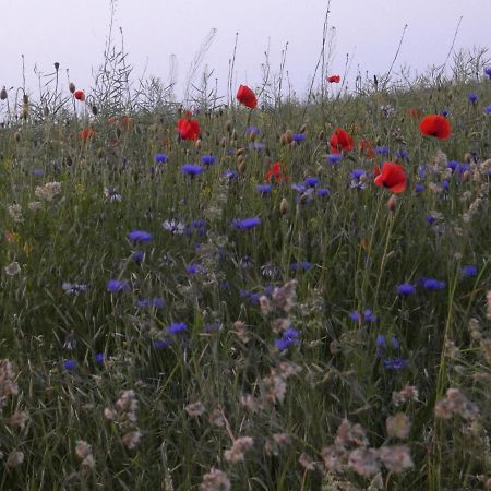 루도프 Mueritzbrise 1 아파트 외부 사진